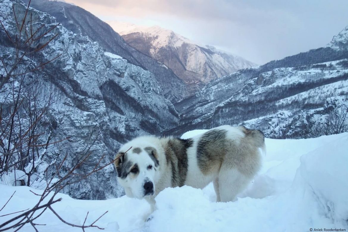 Snowshoeing in Bosnia and Herzegovina