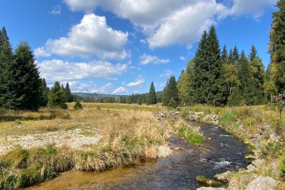 Nationaal Park Šumava