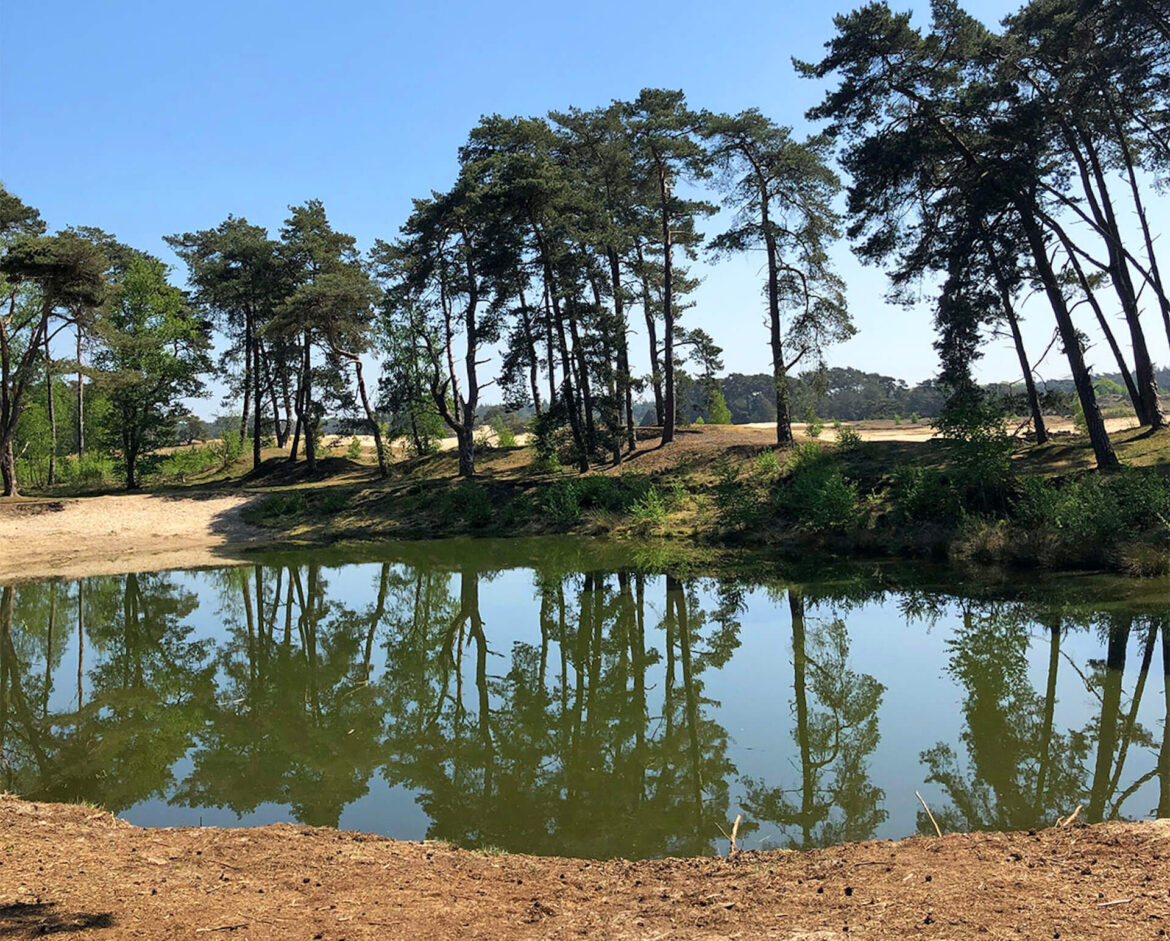 Het Wekeromse Zand op de Veluwe. Onontdekte natuur op de Veluwe