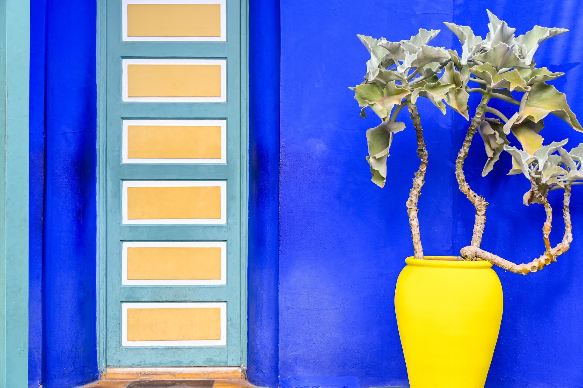 Bezoek aan de Jardin Majorelle in Marrakech